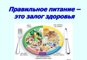 СМОТРЕТЬ МЕНЮ НА СЕГОДНЯ